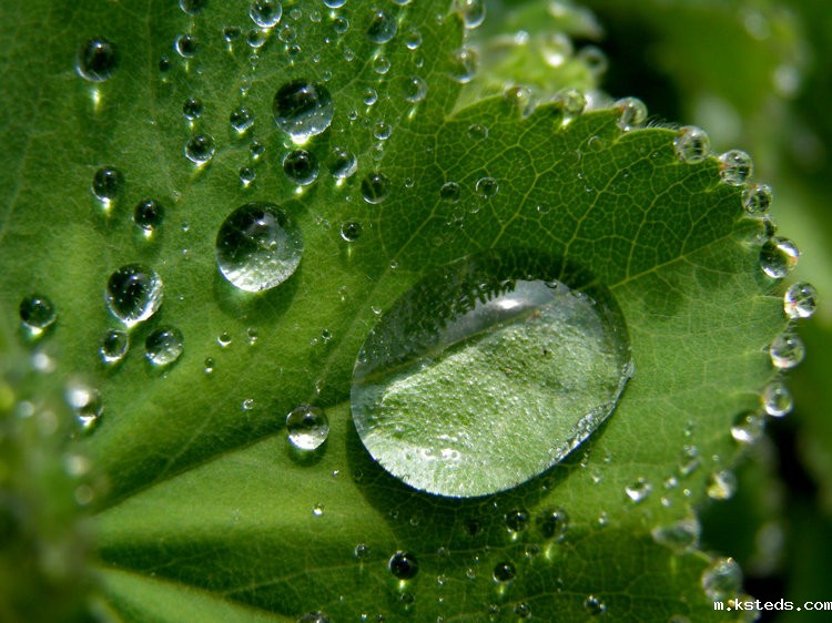 智能型氨氮快速测定仪 智能型氨氮快速测定仪