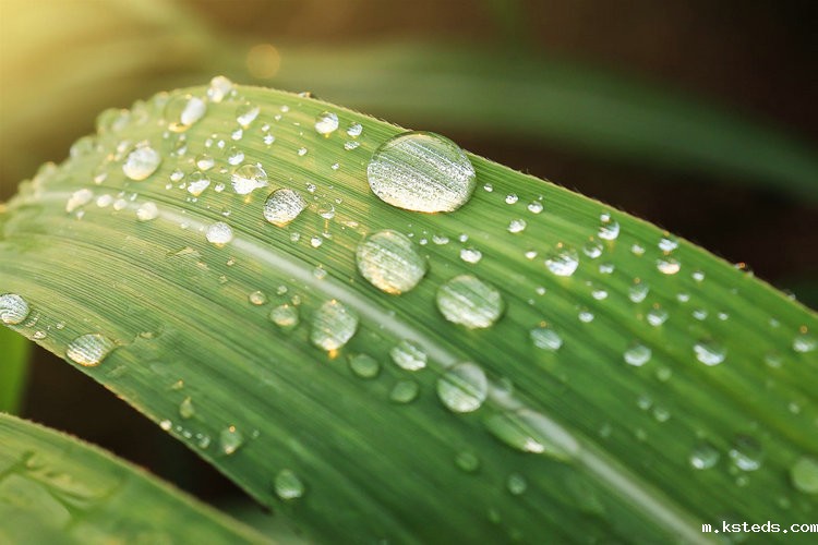 台式氨氮测定仪