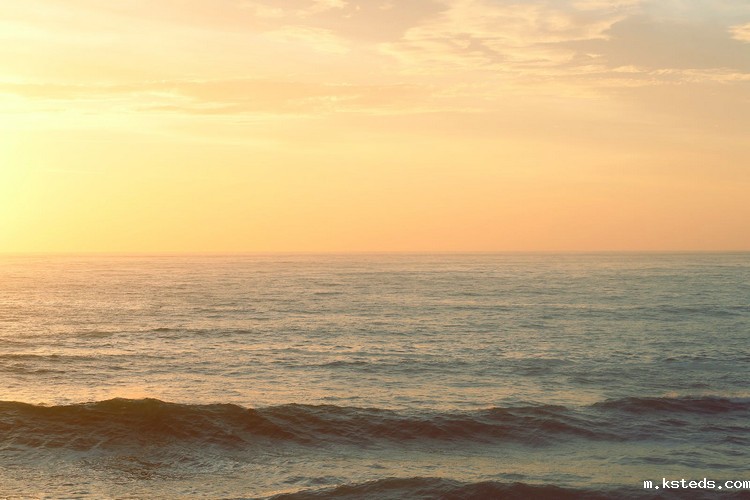 1666851048384375.jpeg COD检测 (12).jpeg