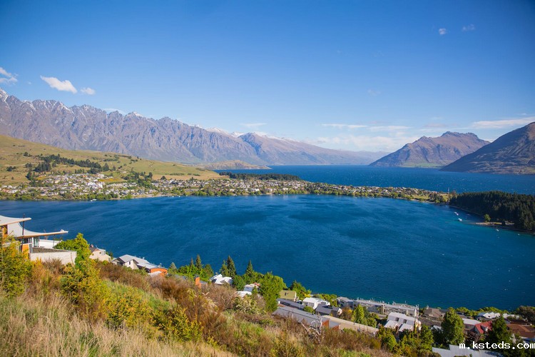 1666851554796247.jpg COD检测 (14).jpg