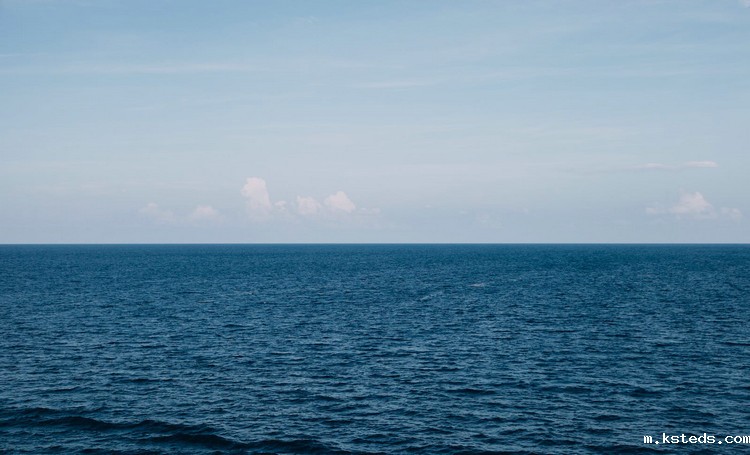 1666853189500300.jpeg COD检测 (19).jpeg