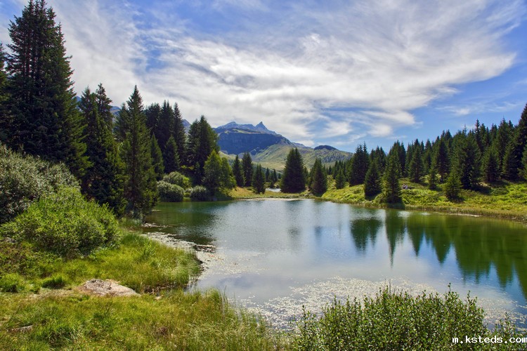 1666854112769581.jpg COD检测 (22).jpg