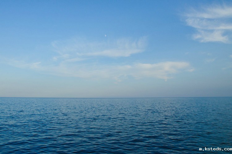 1666855618370536.jpg COD检测 (24).jpg