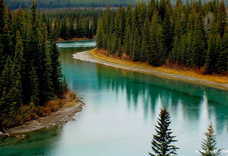 1666856983937314.jpeg COD检测 (28).jpeg