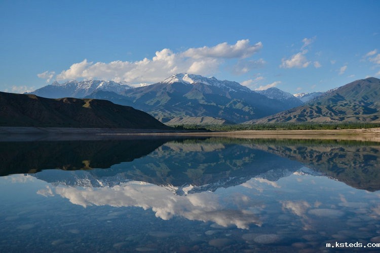 便携式精密浊度仪