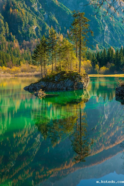 1666921961840469.jpeg COD检测 (50).jpeg