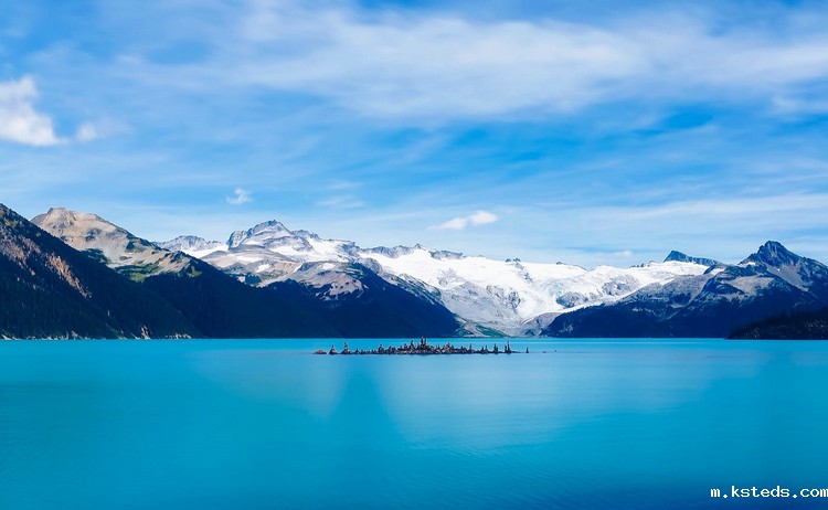 1666923596222164.jpeg COD检测 (53).jpeg