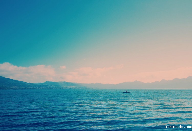 1666924784782394.jpeg COD检测 (56).jpeg