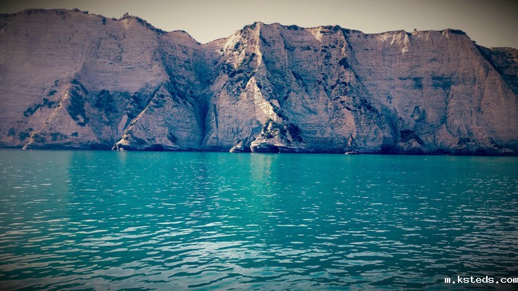 1666934830853600.jpeg COD检测 (66).jpeg