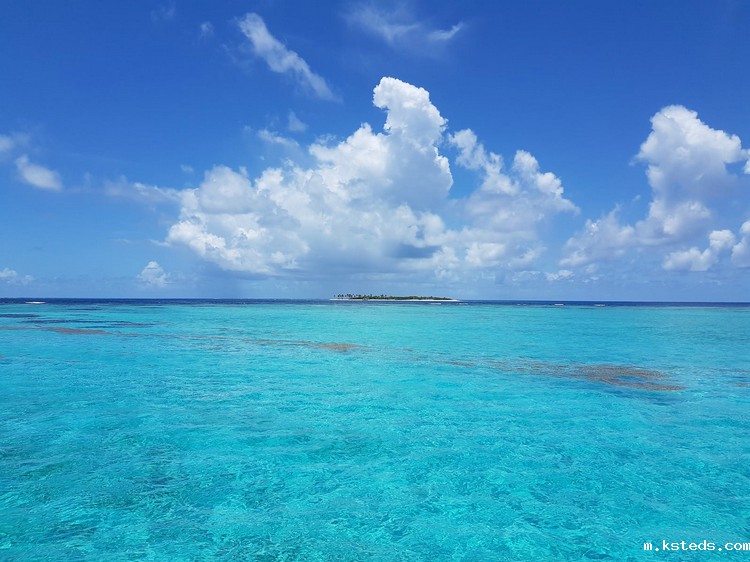 1666935198949459.jpeg COD检测 (69).jpeg