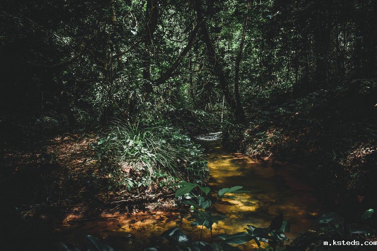 便携式总磷总氮测定仪