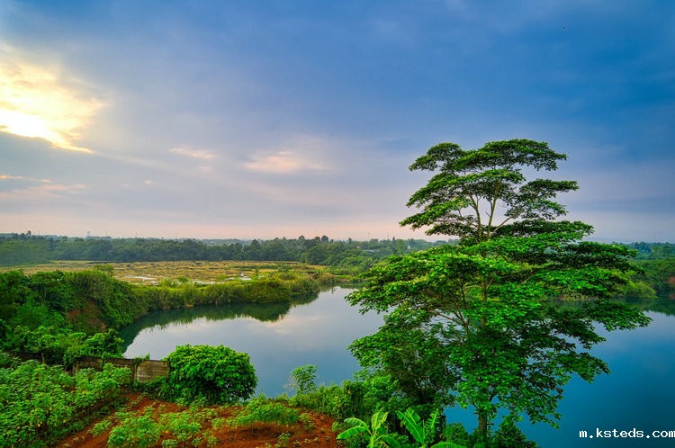 台式COD总磷总氮测定仪 台式COD总磷总氮测定仪