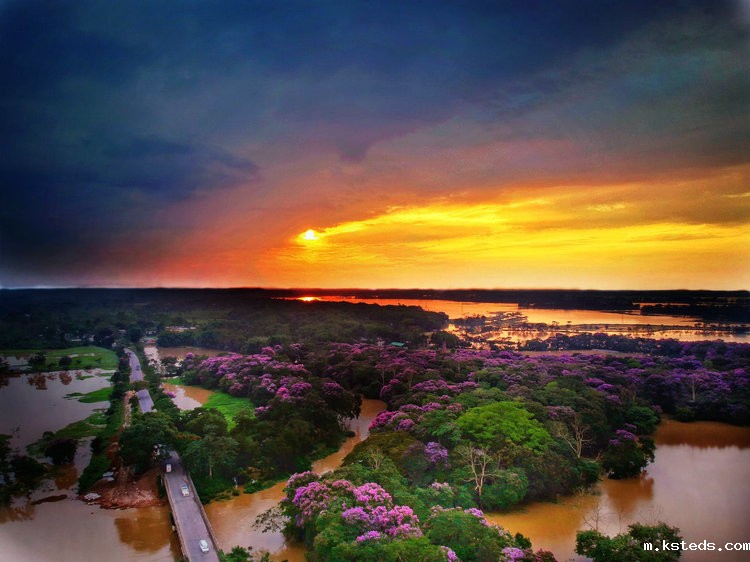 台式COD总磷测定仪