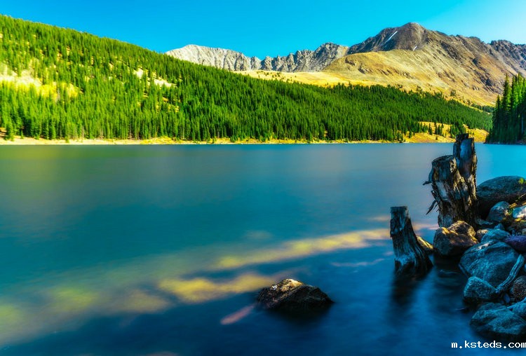 COD氨氮总氮测定仪 COD氨氮总氮测定仪