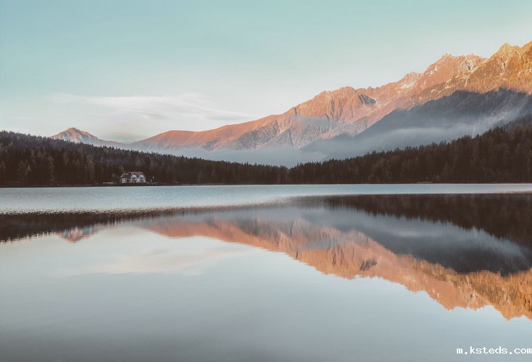 1666946941986638.jpeg COD检测 (96).jpeg