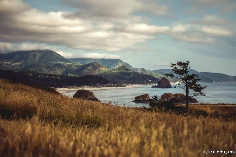 水质氨氮 水质氨氮
