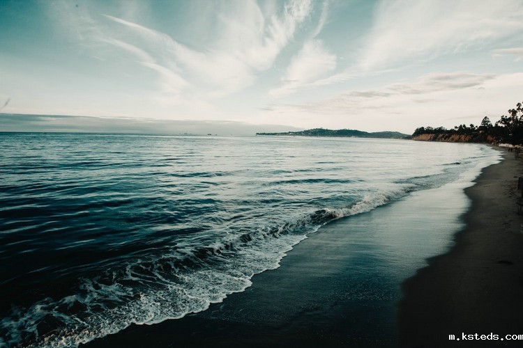 COD检测 (103).jpeg