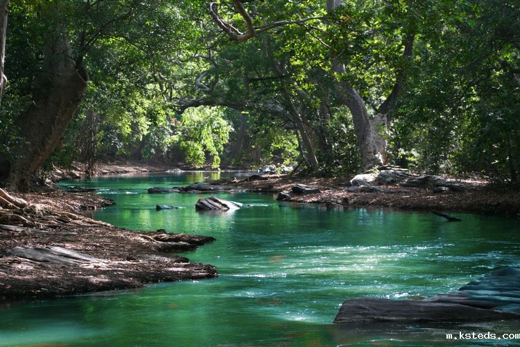 1667006412176649.jpeg COD检测 (104).jpeg