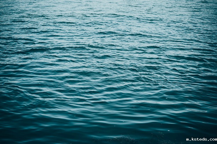 1667006771709937.jpeg COD检测 (106).jpeg