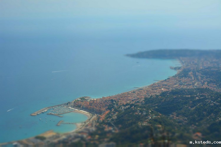 COD检测 (111).jpeg