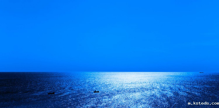 1667009695811913.jpeg COD检测 (113).jpeg