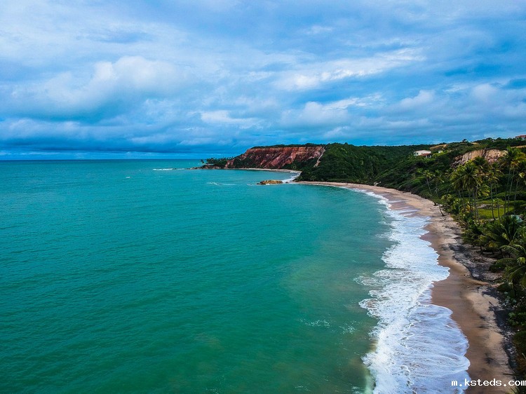 1667021687446358.jpeg COD检测 (124).jpeg