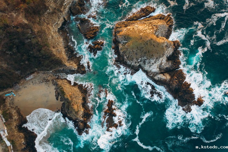 氨氮监测 氨氮监测