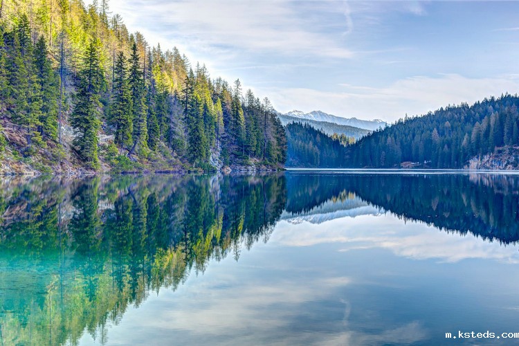 测定氨氮 测定氨氮