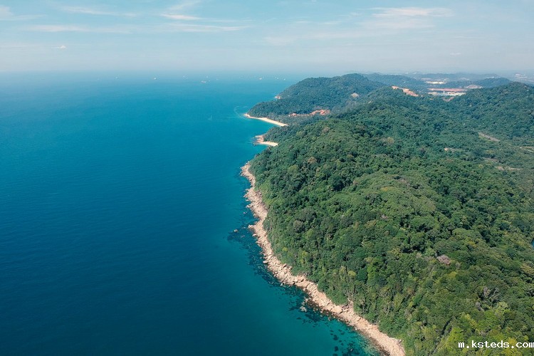 1667179990987331.jpeg COD检测 (144).jpeg