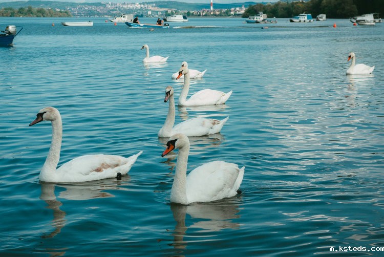 cod氨氮总磷总氮测定仪