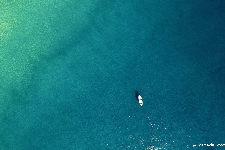 cod消解器 cod消解器