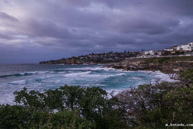 COD检测仪 COD检测仪