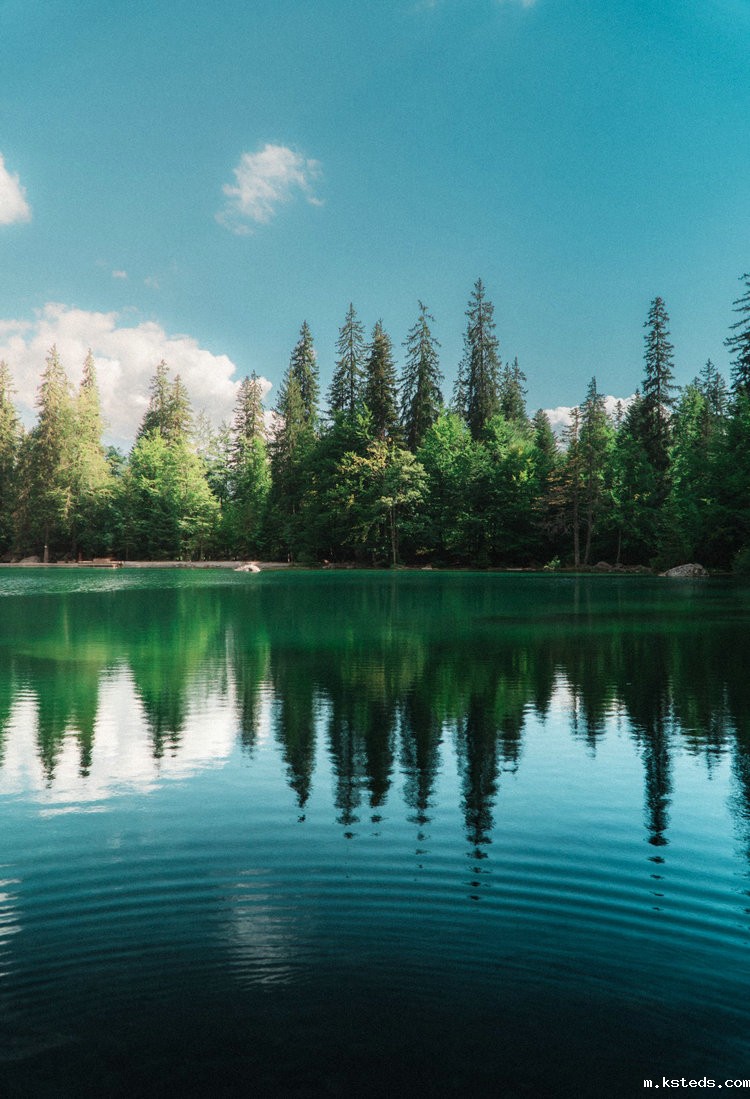 COD氨氮测定仪 COD氨氮测定仪