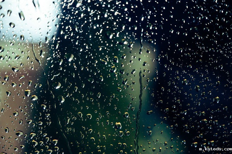 COD测定仪 COD测定仪