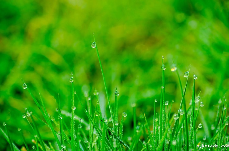 二氧化硫检测仪 二氧化硫检测仪