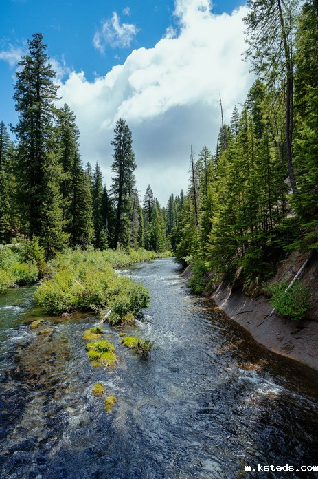 COD测定仪 COD测定仪