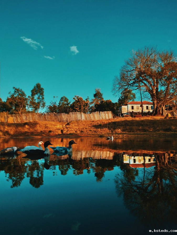 水质检测 水质检测