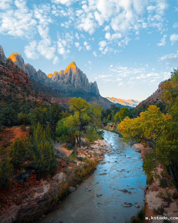 cod测定仪 cod测定仪