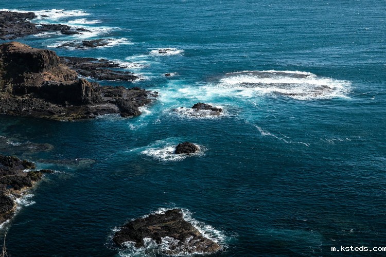 氨氮测定仪 氨氮测定仪