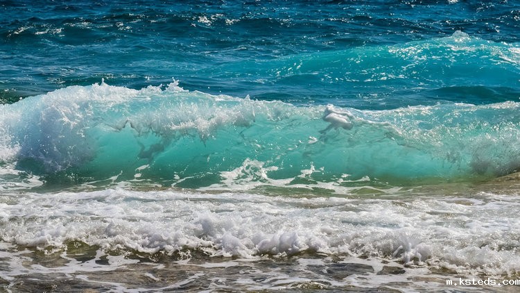 总氮测定仪 总氮测定仪