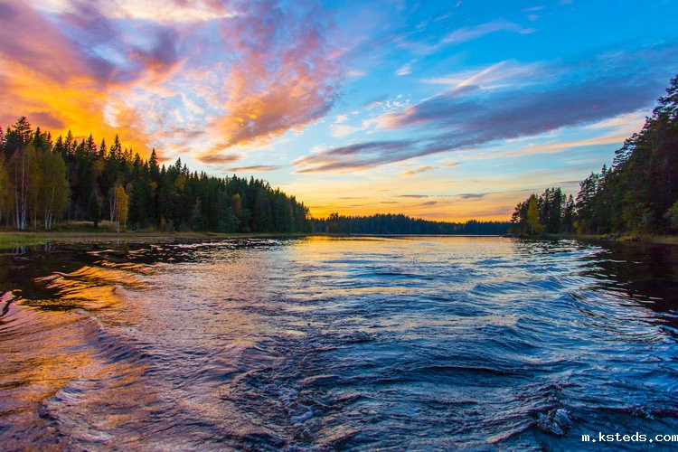 cod氨氮总磷总氮测定仪 cod氨氮总磷总氮测定仪