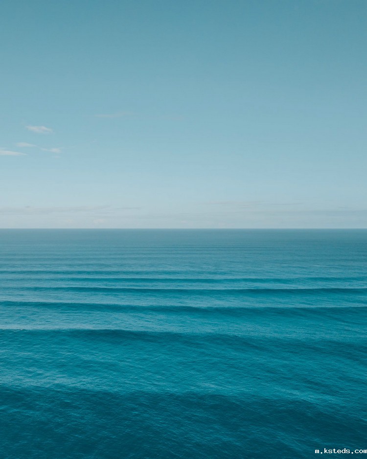 COD测定仪 COD测定仪