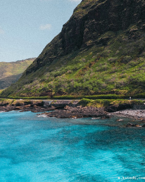 COD检测仪 COD检测仪