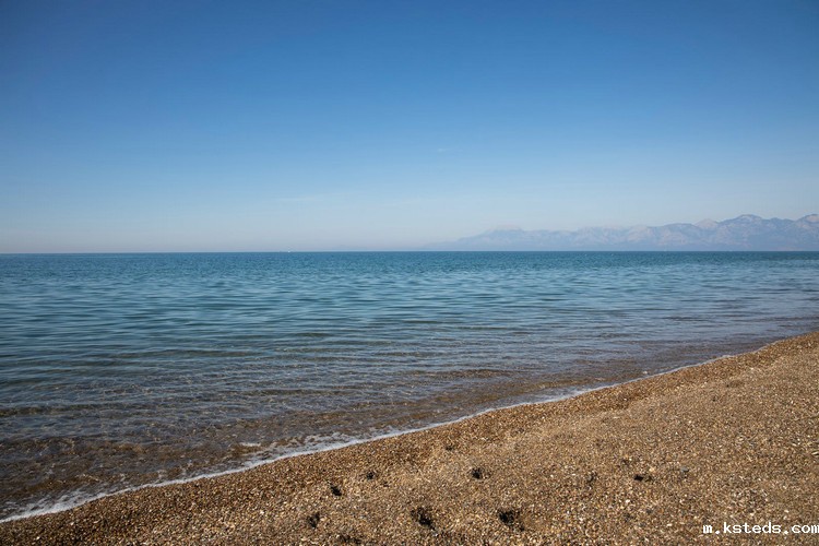 氨氮快速测定仪 氨氮快速测定仪