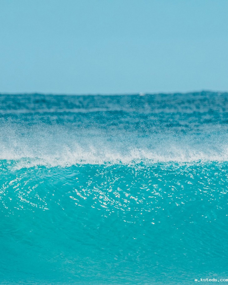 cod消解仪 cod消解仪