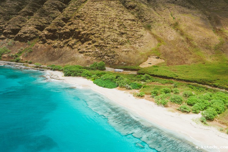 氨氮测定仪 氨氮测定仪