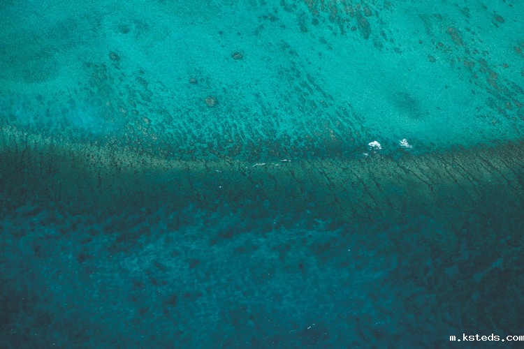 COD测定仪 COD测定仪