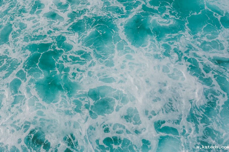 COD测定仪 COD测定仪