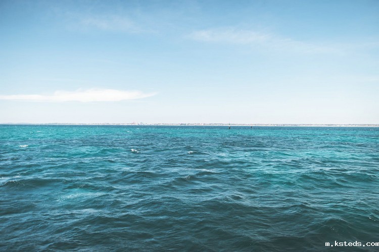 多参数水质测定仪