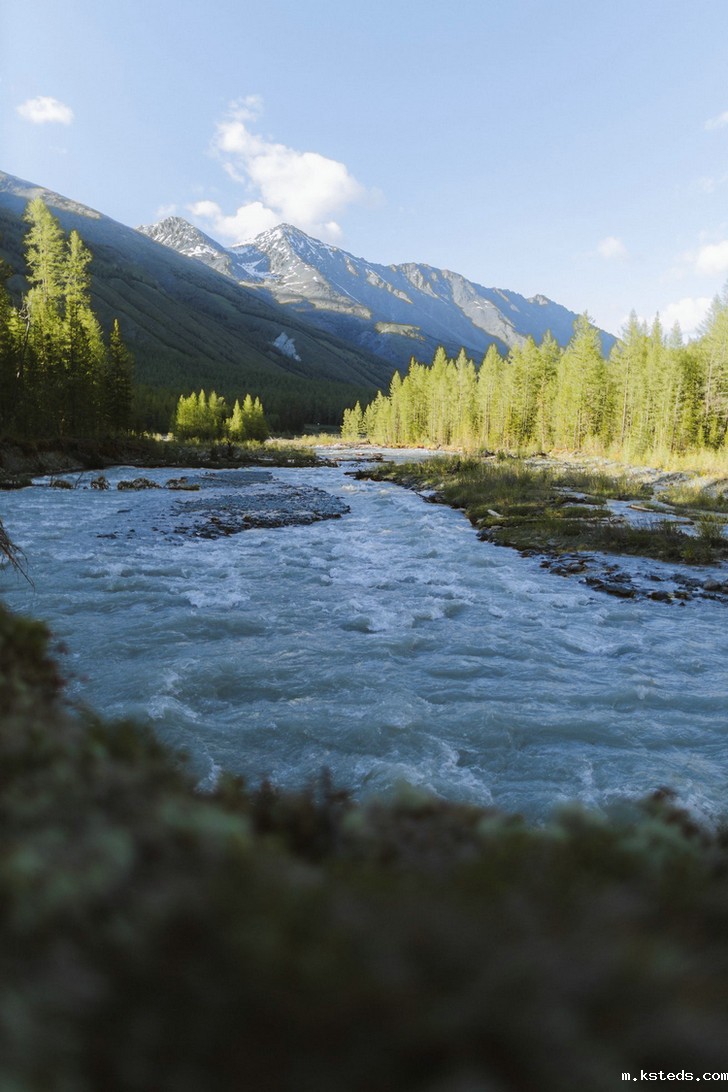 COD消解仪 COD消解仪